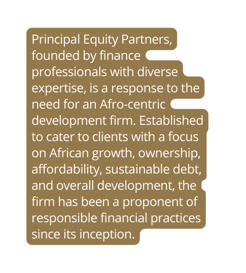 Principal Equity Partners founded by finance professionals with diverse expertise is a response to the need for an Afro centric development firm Established to cater to clients with a focus on African growth ownership affordability sustainable debt and overall development the firm has been a proponent of responsible financial practices since its inception