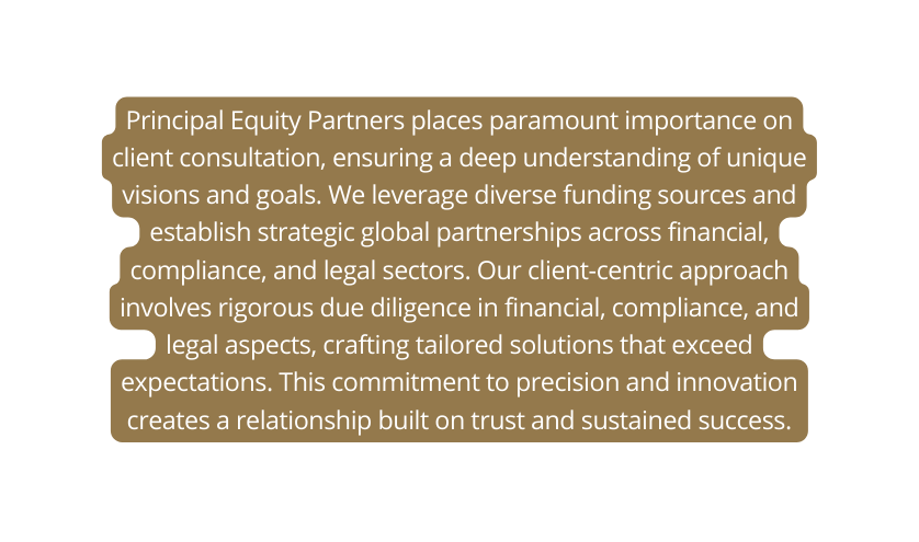 Principal Equity Partners places paramount importance on client consultation ensuring a deep understanding of unique visions and goals We leverage diverse funding sources and establish strategic global partnerships across financial compliance and legal sectors Our client centric approach involves rigorous due diligence in financial compliance and legal aspects crafting tailored solutions that exceed expectations This commitment to precision and innovation creates a relationship built on trust and sustained success